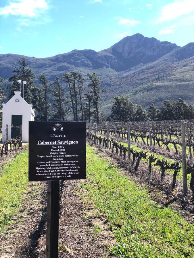 The Vineyard Cottage By L' Amitie Estate Franschhoek Eksteriør bilde